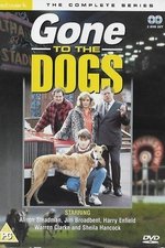 Gone to the Dogs