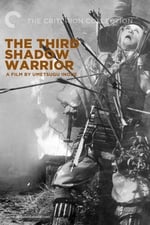 The Third Shadow Warrior