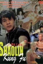 Li Lian Jie's Shaolin Kung Fu