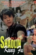 Li Lian Jie's Shaolin Kung Fu