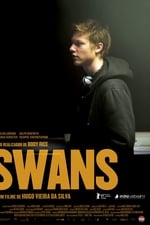 Swans