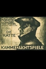 Die Ratte