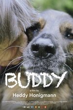 Buddy