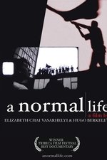 A Normal Life