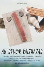 Goodbye Balthazar