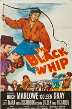 The Black Whip