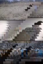 Parallel Novel