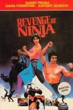 Revenge of the Ninja