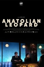 Anatolian Leopard