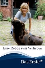 Eine Robbe zum Verlieben