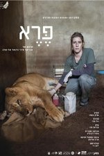 Wild: Life, Death and Love in a Wildlife Hospital