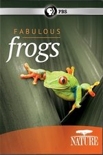 Fabulous Frogs