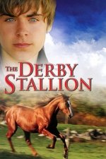 The Derby Stallion