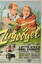 Zugvögel