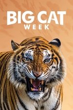 Big Cat Week