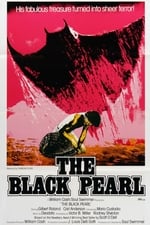 The Black Pearl