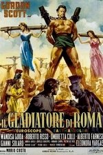 Gladiator of Rome