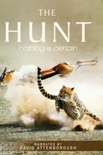 The Hunt