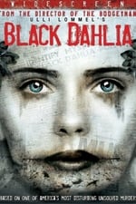 Black Dahlia