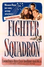 Fighter Squadron