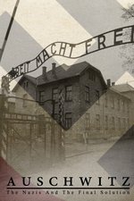 Auschwitz: The Nazis and the Final Solution