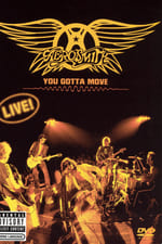 Aerosmith: You Gotta Move