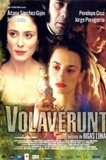 Volaverunt