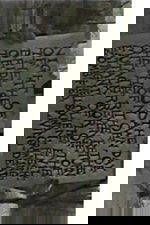 Night Of The Day Of The Dawn Of The Son Of The Bride Of The Return Of The Revenge Of The Terror Of The Attack Of The Evil, Mutant, Hellbound, Flesh-Eating, Crawling, Alien, Zombified, Subhumanoid Living Dead — Part 5