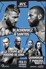 UFC Fight Night 145: Błachowicz vs. Santos