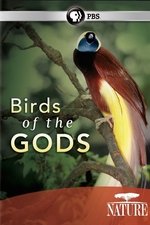 Birds of the Gods