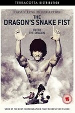 The Dragon's Snake Fist