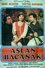 Aslan Bacanak