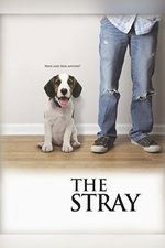 The Stray