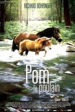 Pom, le poulain