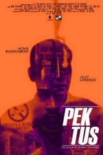 Pektus