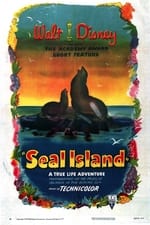 Seal Island