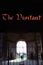 The Visitant