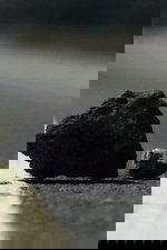 The Stone
