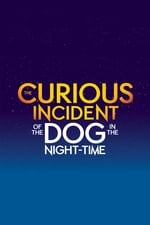 The Curious Incident of the Dog in the Night-Time