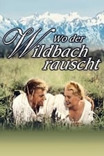 Wo der Wildbach rauscht