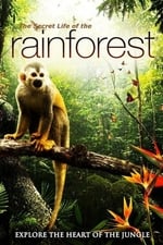 The Secret Life of the Rainforest