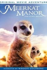 Meerkat Manor: The Story Begins