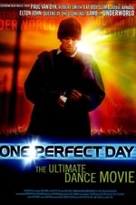 One Perfect Day