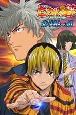 Hikaru no Go: Journey to the North Star Cup