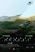 Cavalli