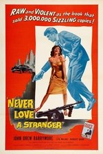 Never Love a Stranger