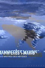 Mammifères marins - les maîtres des abysses