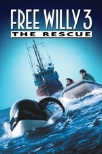 Free Willy 3: The Rescue