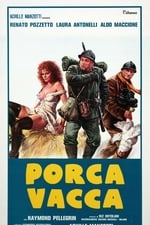 Porca vacca