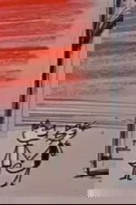 Mirror Images